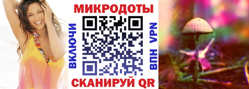 как найти   Микунь  Псилоцибиновые грибы GOLDEN TEACHER 